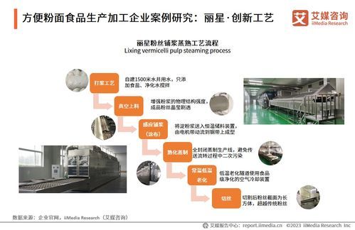 2023-2024年中國方便粉面食品行業(yè)技術(shù)發(fā)展趨勢(shì)與市場前景研究報(bào)告